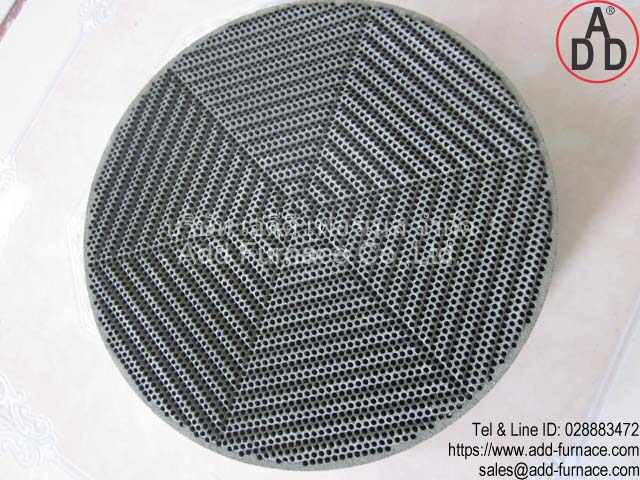 RG8 diameter 135mm ceramic honeycomb(5)